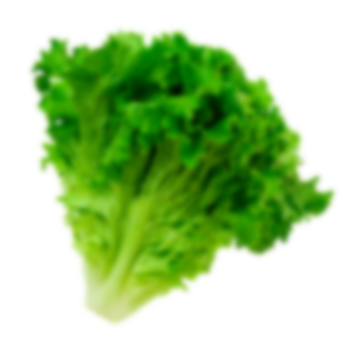 cabbage